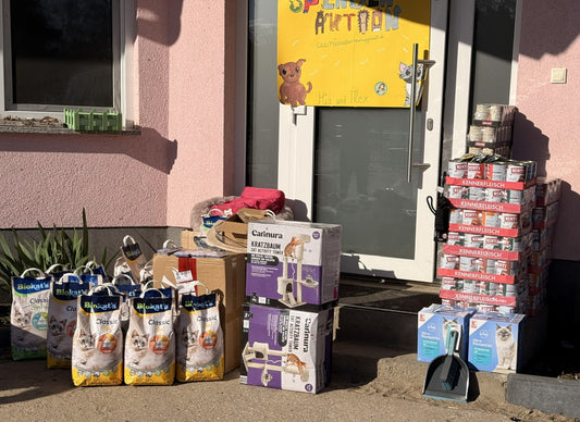 Tierheim am See Spendenaktion April 2026